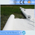 600GSM Geosynthetischer Clay Liner Filament Nonwoven Polyester Geotextil